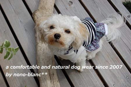 こむぎさんの作品