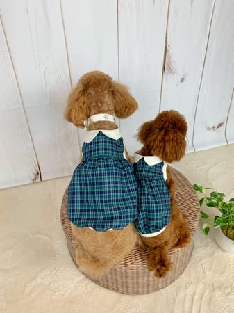 アロモアママさんの作品