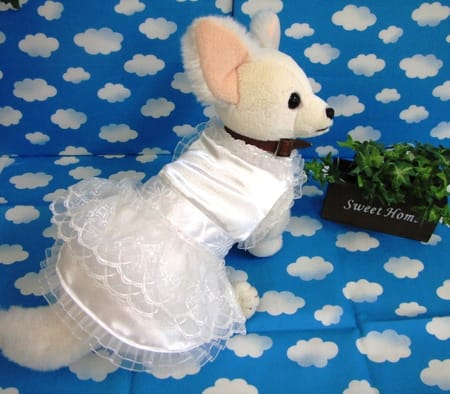 はなぴょんさんの作品