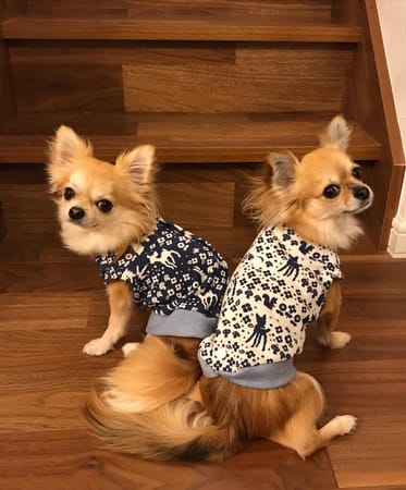 anirokitchenさんの作品