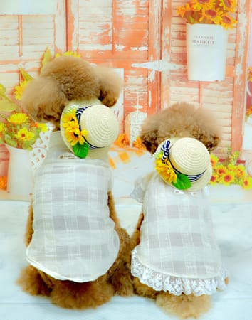 C&L.mamaさんの作品