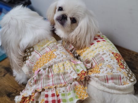 おとしらママさんの作品