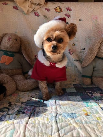 Keyakiさんの作品