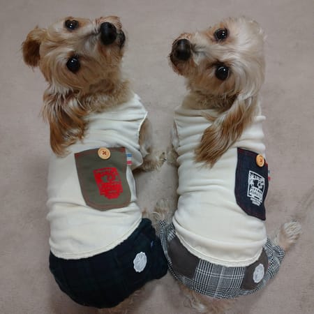 ひなはなさんの作品