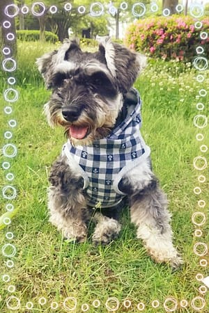 るぅなさんの作品