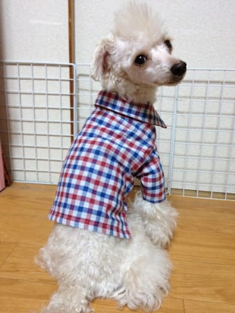 LabiOliママさんの作品