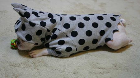 げんこつママさんの作品