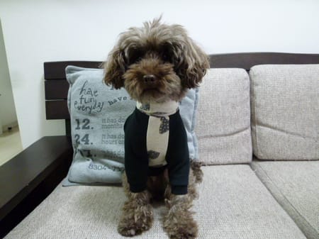 kunkunさんの作品