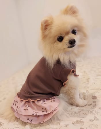 にこママさんの作品