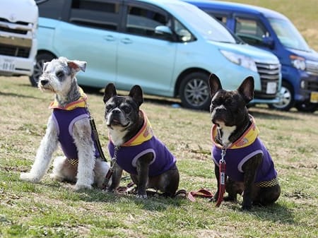 ちびっこさんの作品