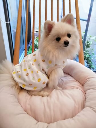 にこママさんの作品