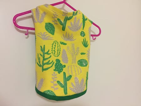 Coconutさんの作品