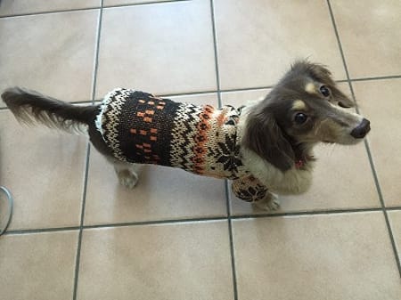 みにくろりんさんの作品