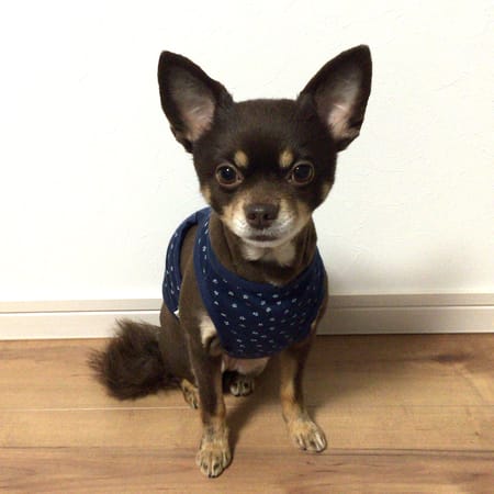 ゆずさんの作品