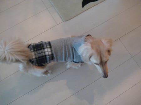 korino-rinoさんの作品