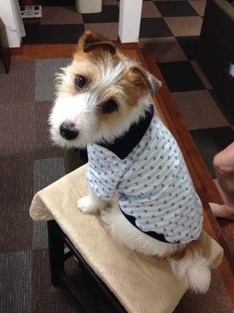 randymikioさんの作品