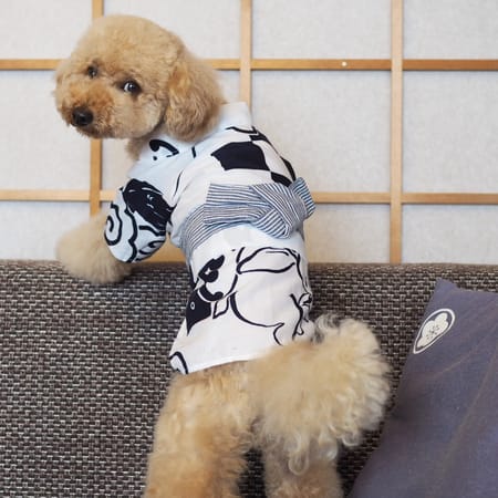 totokichi55さんの作品