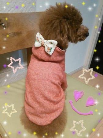 トモコさんの作品