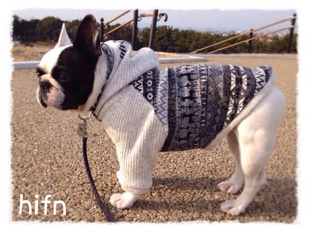 boom3tanさんの作品