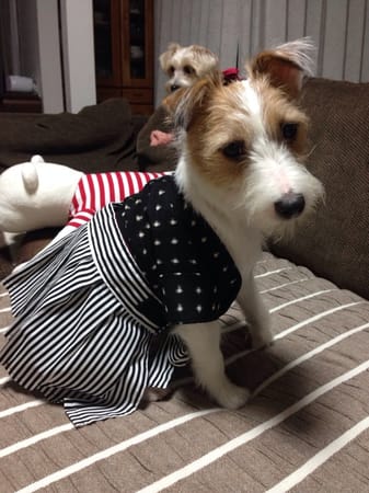 randymikioさんの作品