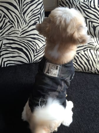 hananonnさんの作品