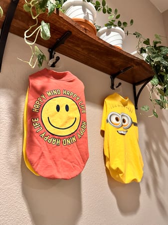 りりかさんの作品