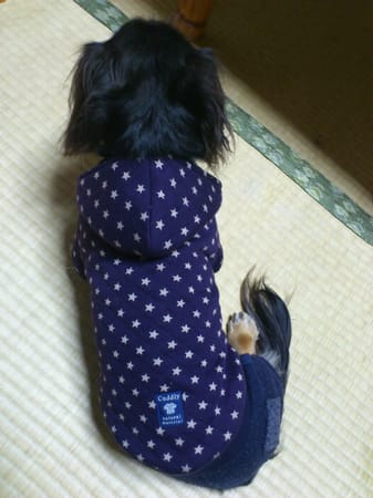 sakuramaruさんの作品