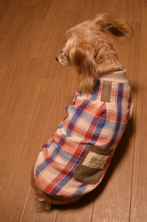 ひなはなさんの作品