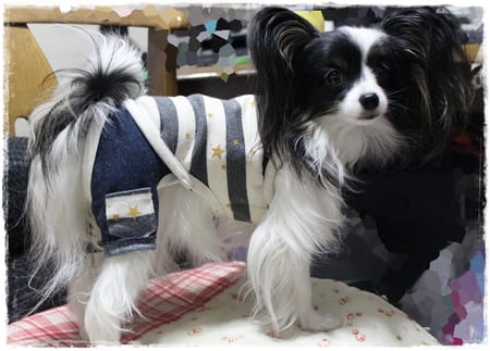 依音さんの作品