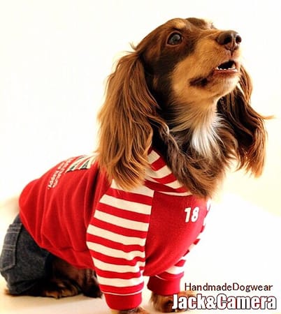 akizoo88さんの作品