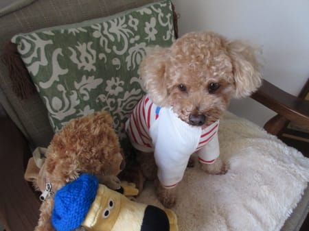 リンゴさんの作品