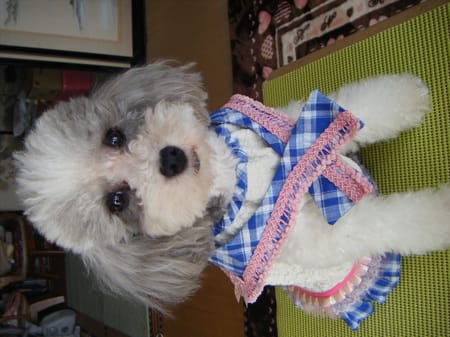 ミチさんの作品