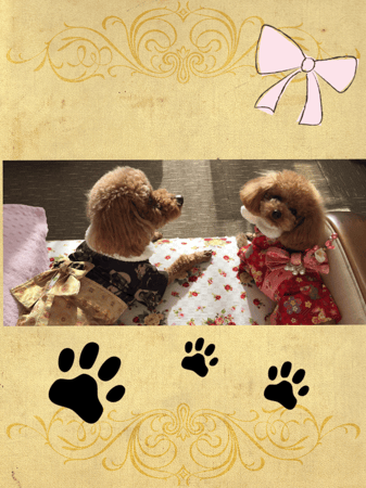 モナリオさんの作品