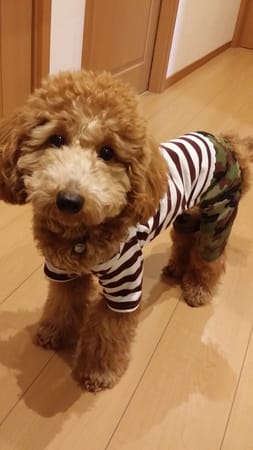 luce*さんの作品