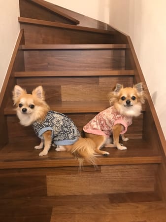 anirokitchenさんの作品