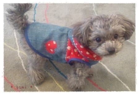 hironさんの作品