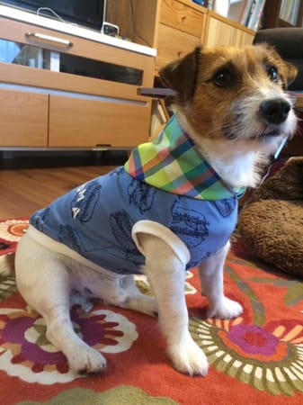 ちぃこさんの作品