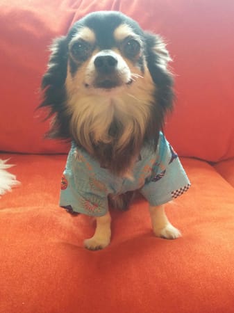 くまいくさんの作品