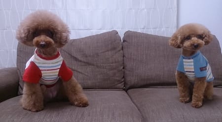 kaorunさんの作品