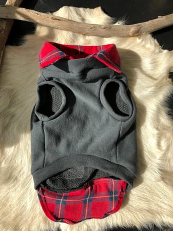 ゴトえりさんの作品