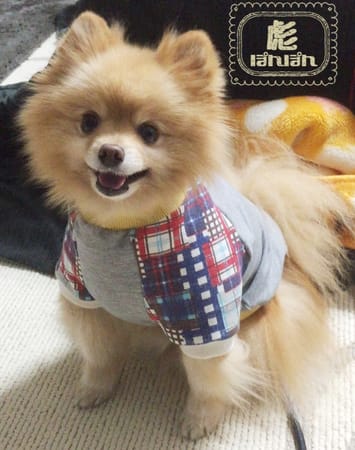 彪ママさんの作品