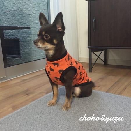 ゆずさんの作品