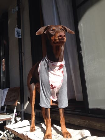 Aliceさんの作品