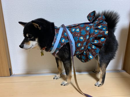 ron_ema_okakoさんの作品