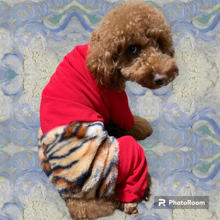 yukichiさんの作品