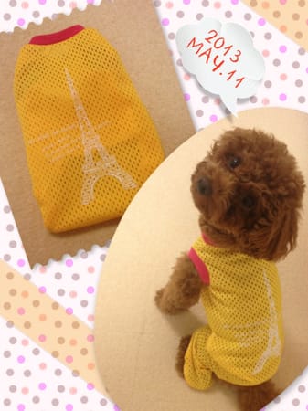 yuccoさんの作品