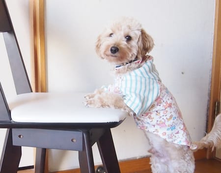 Natsuさんの作品