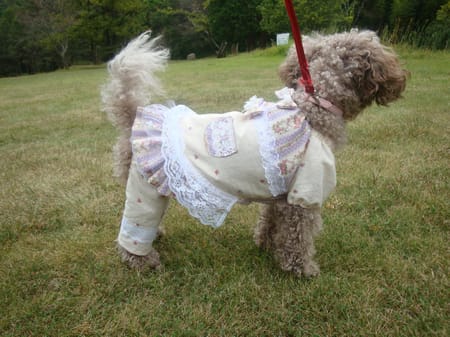 かさたんさんの作品