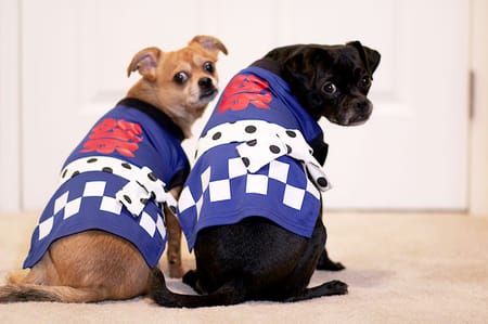 Princessmiyaさんの作品