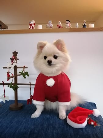 にこママさんの作品